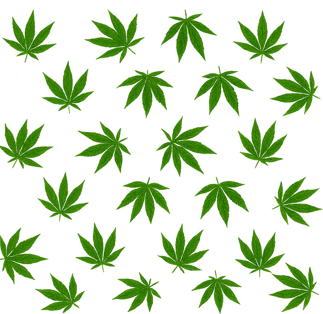 Decorative hemp leaves